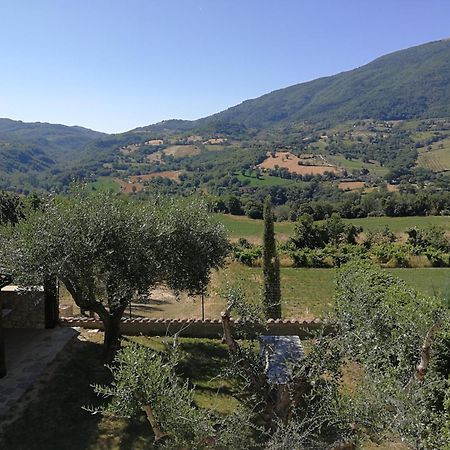 Agriturismo Sole Luna ピアーノ・デッレ・ピエーヴェ 部屋 写真