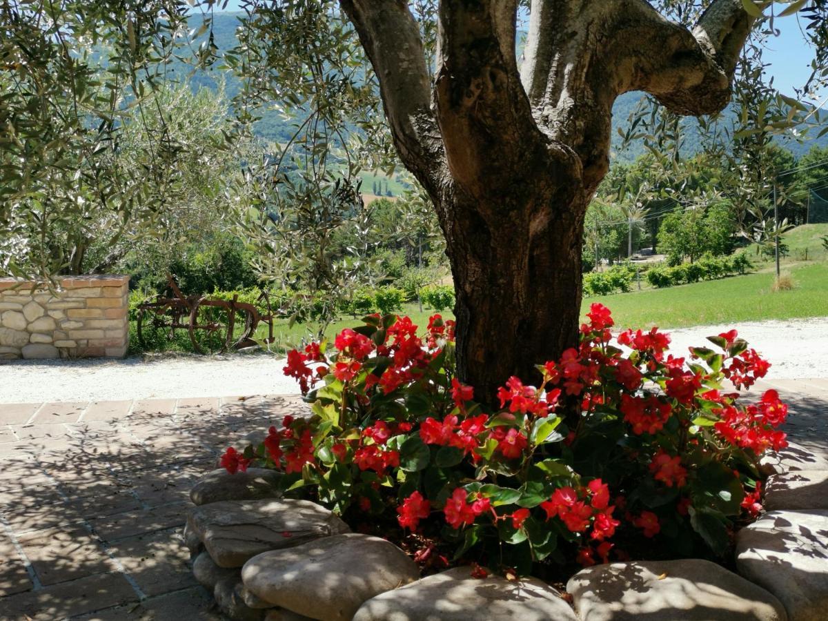 Agriturismo Sole Luna ピアーノ・デッレ・ピエーヴェ エクステリア 写真