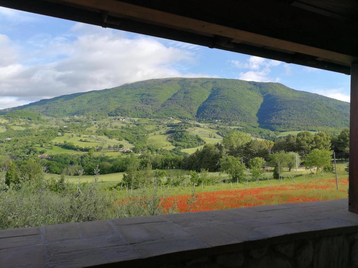 Agriturismo Sole Luna ピアーノ・デッレ・ピエーヴェ エクステリア 写真