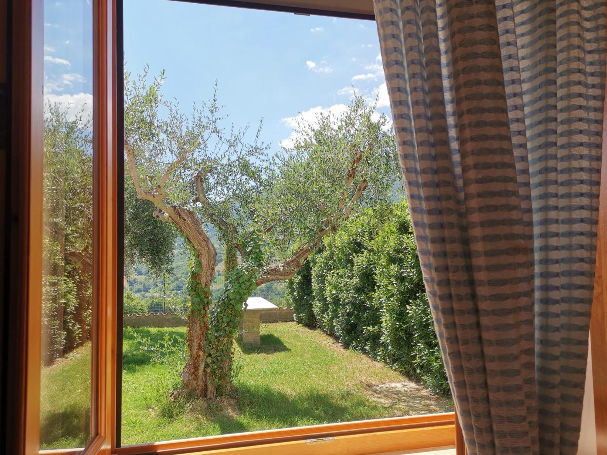 Agriturismo Sole Luna ピアーノ・デッレ・ピエーヴェ 部屋 写真